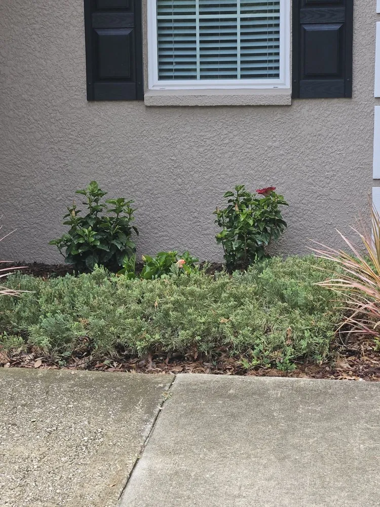 Expert landscape installation in Spring Hill, FL - Majestic Landscapes & Maintenance