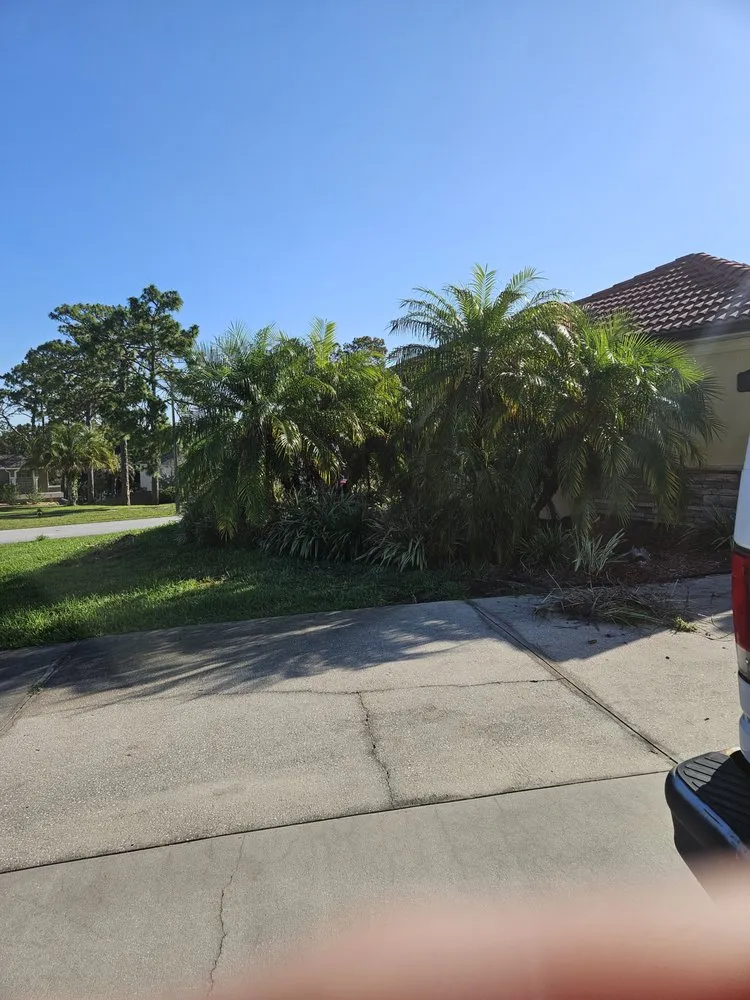 Expert lawn mowing service in Spring Hill, FL - Majestic Landscapes & Maintenance