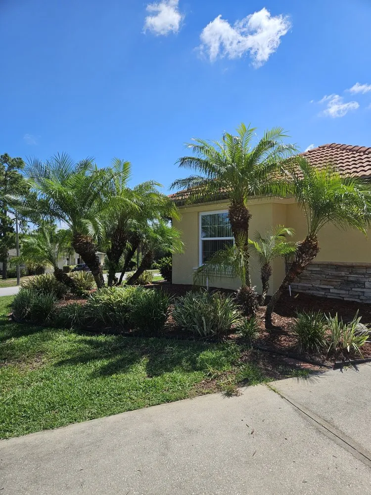 Reliable residential landscaping in Spring Hill, FL - Majestic Landscapes & Maintenance