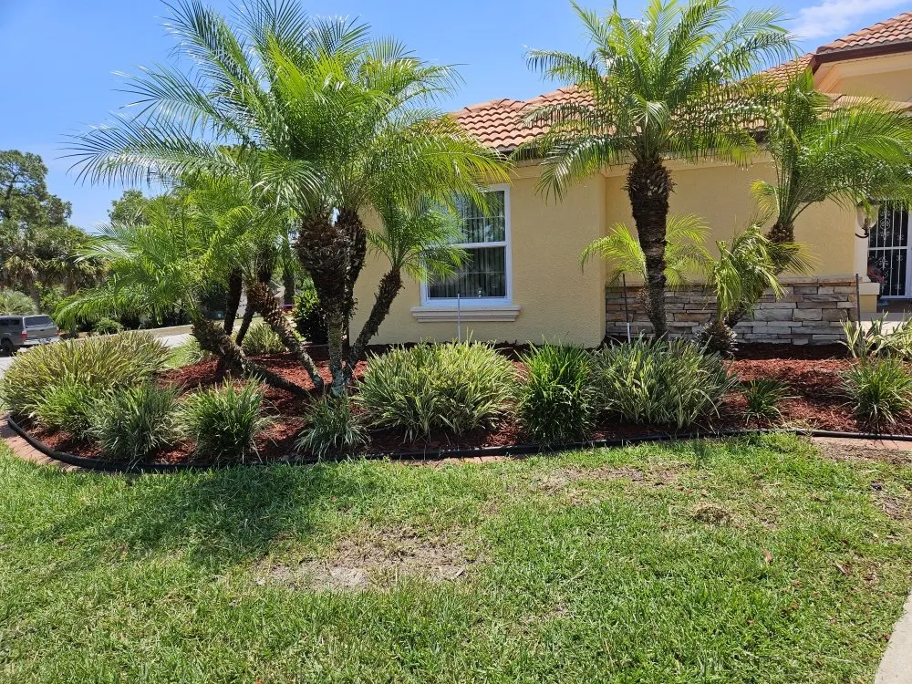 Top-rated yard cleanup service for homes across Spring Hill, FL - Majestic Landscapes & Maintenance