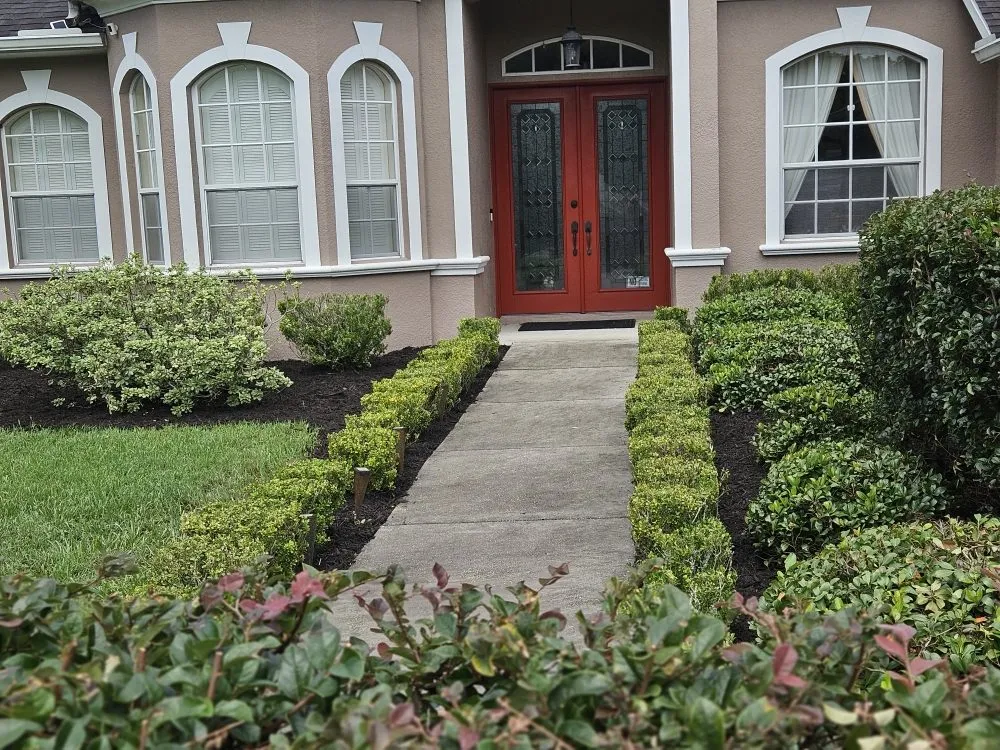 Custom yard cleanup service for homes in Spring Hill, FL by Majestic Landscapes & Maintenance
