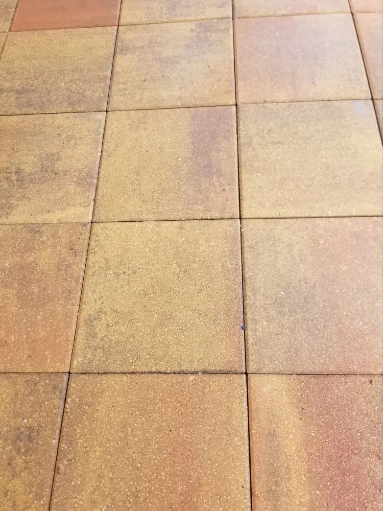 Reliable yard cleanup service in Spring Hill, FL by Majestic Landscapes & Maintenance