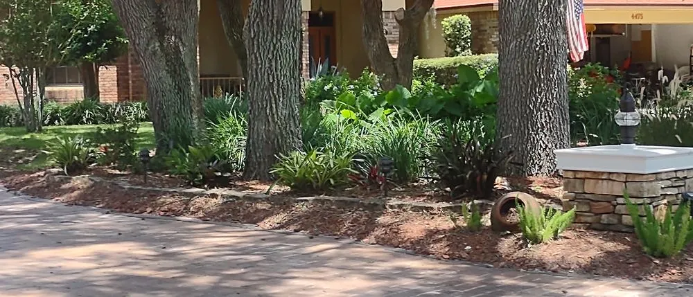 Custom outdoor landscaping experts serving Spring Hill, FL - Majestic Landscapes & Maintenance