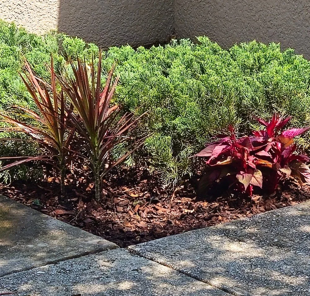 Top-rated lawn mowing service in Spring Hill, FL by Majestic Landscapes & Maintenance