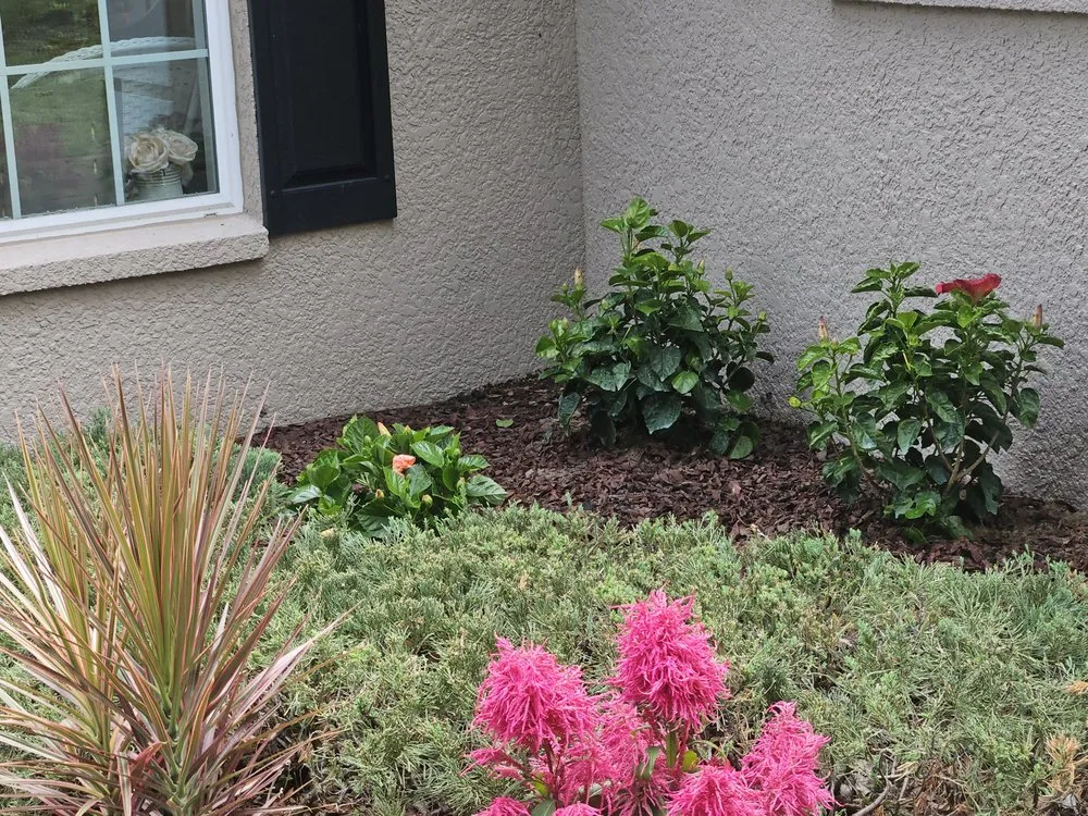 Custom outdoor landscaping in Spring Hill, FL - Majestic Landscapes & Maintenance