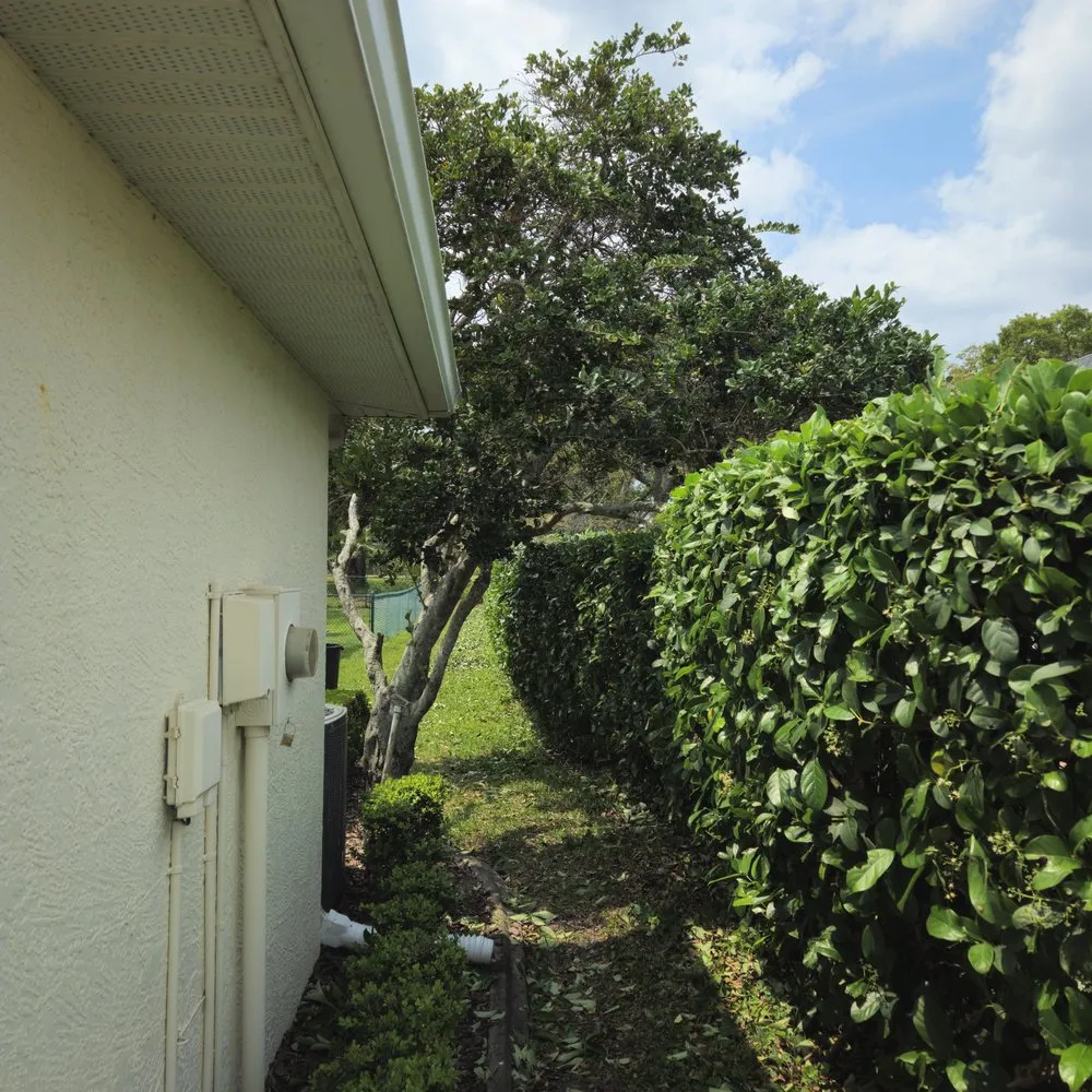 Affordable yard cleanup service for beautiful yards across Spring Hill, FL - Majestic Landscapes & Maintenance