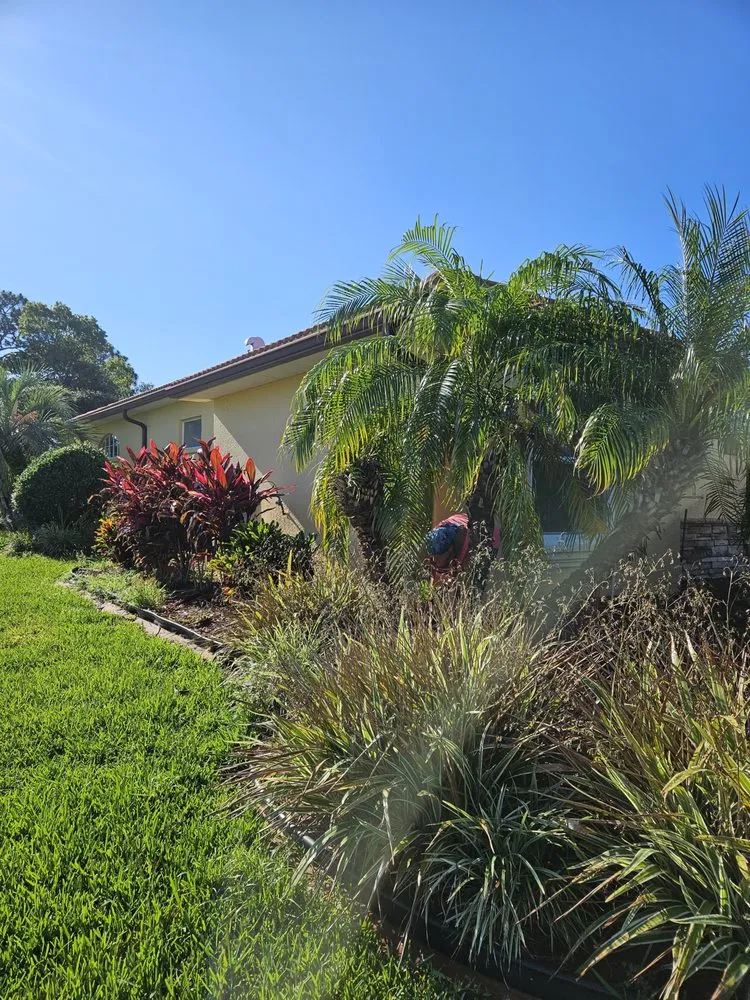 Top-rated landscaping services in Spring Hill, FL by Majestic Landscapes & Maintenance
