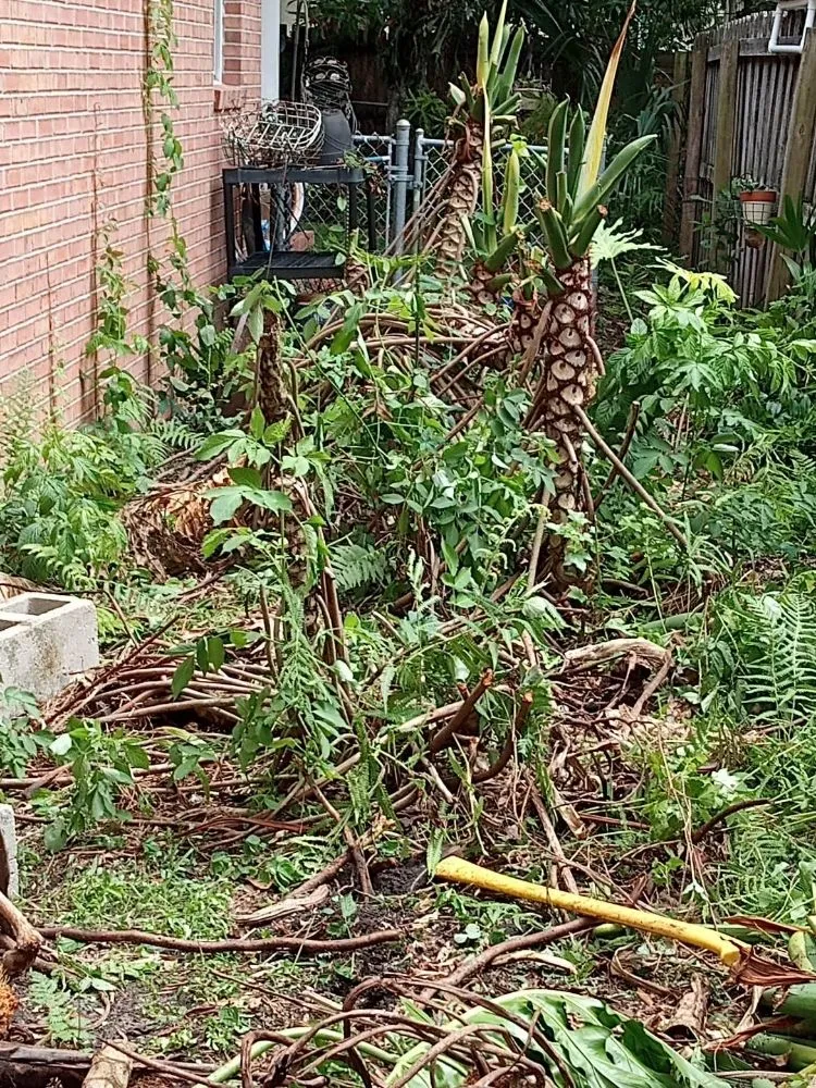 Trusted residential landscaping in Jacksonville, FL by Majestic Landscapes