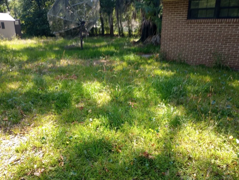 Local lawn care service in Jacksonville, FL by Majestic Landscapes