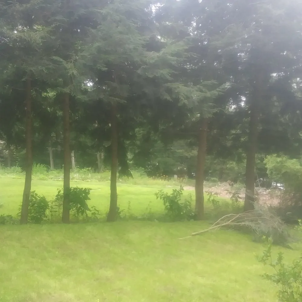 Professional landscape design experts serving Newtown, CT - Majestic Landscapes