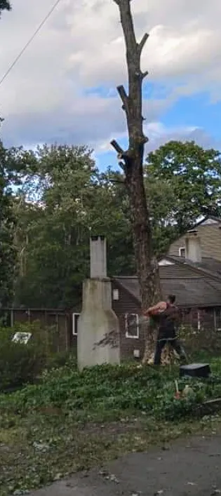 Expert landscape design for outdoor upgrades in Newtown, CT by Majestic Landscapes