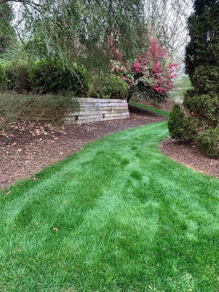 Trusted yard cleanup service with custom design in York, SC by Majestic Landscapes
