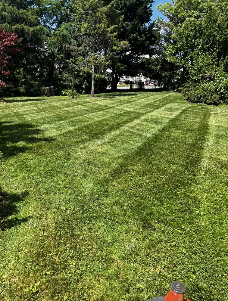 Top-rated landscape design for beautiful yards in Colora, MD by Majestic Landscaping