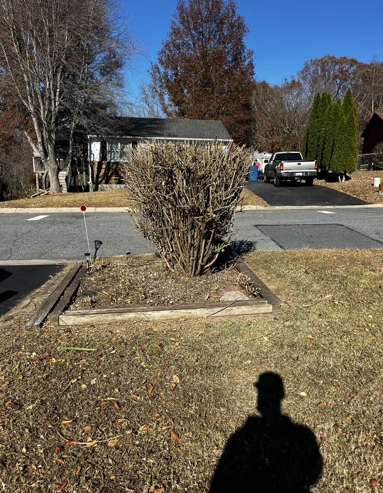 Affordable landscaping services near you in Colora, MD by Majestic Landscaping