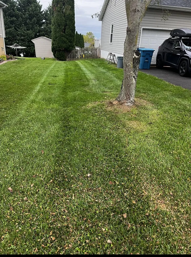 Affordable yard maintenance in Colora, MD - Majestic Landscaping