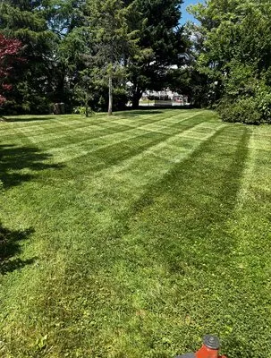 Majestic Landscaping Logo