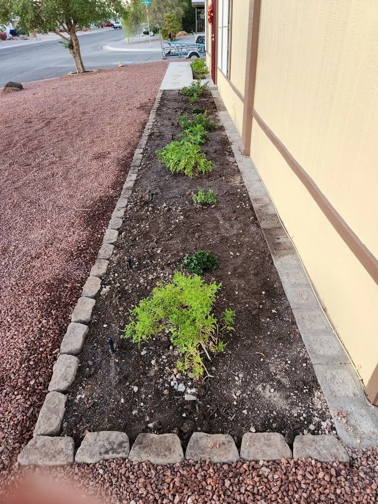 Trusted landscaping services in Fort Mohave, AZ by Majestic Landscaping