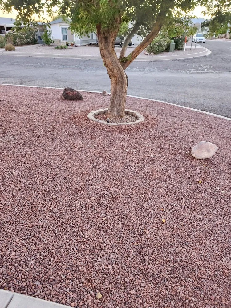 Top-rated outdoor landscaping experts serving Fort Mohave, AZ - Majestic Landscaping