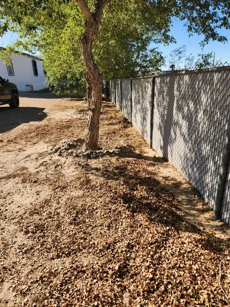 Professional residential landscaping in Fort Mohave, AZ by Majestic Landscaping