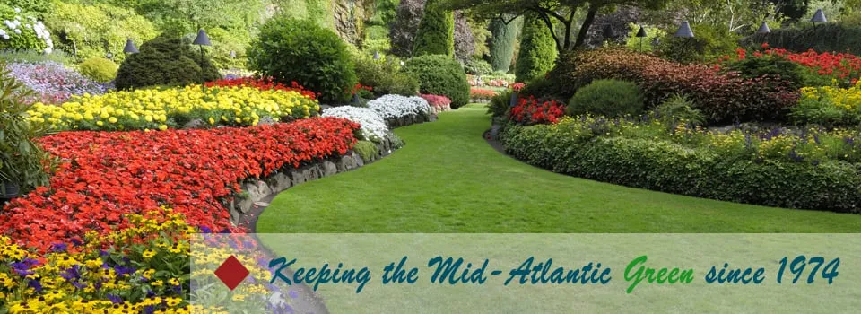 Reliable yard cleanup service with custom design in Spencerville, MD by Majestic Lawn & Landscaping Inc