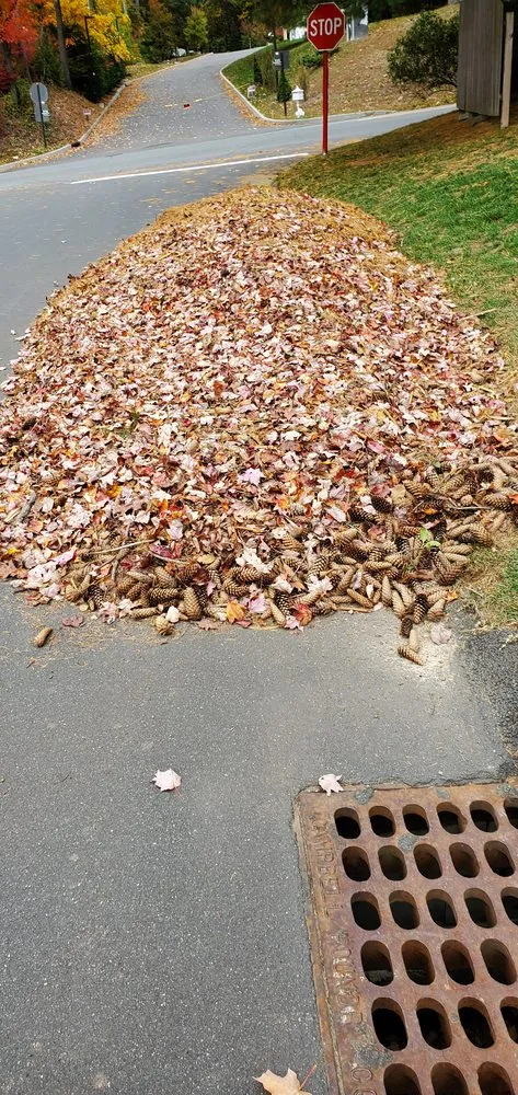 Custom yard cleanup service with custom design in New City, NY by Majestic Lawn Care & Landscape