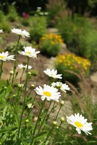 Custom garden landscaping in New City, NY - Majestic Lawn Care & Landscape