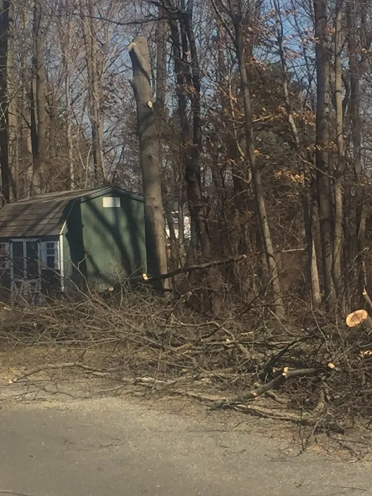 Top-rated lawn care service for outdoor upgrades across New City, NY - Majestic Lawn Care & Landscape