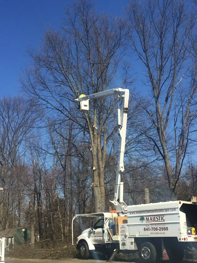 Professional lawn care service experts serving New City, NY - Majestic Lawn Care & Landscape