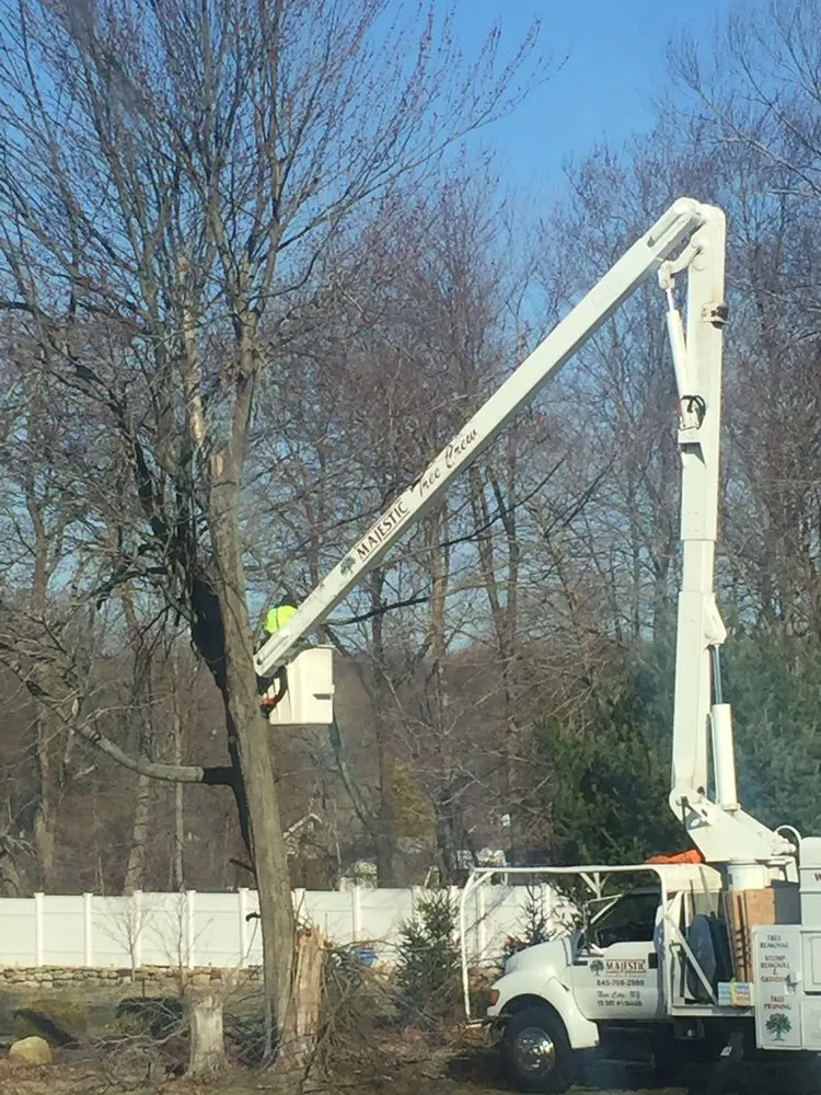 Affordable landscaping services experts serving New City, NY - Majestic Lawn Care & Landscape