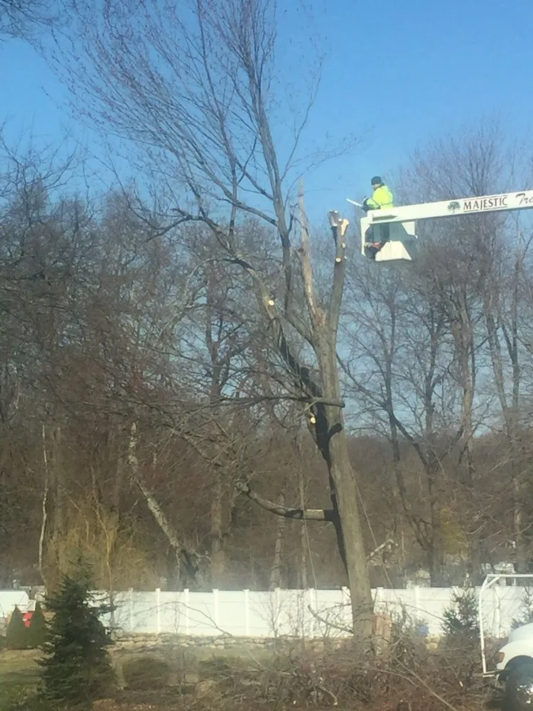 Reliable landscaping services experts serving New City, NY - Majestic Lawn Care & Landscape