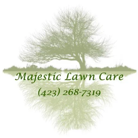 Expert yard maintenance in Bristol, VA by Majestic Lawn Care