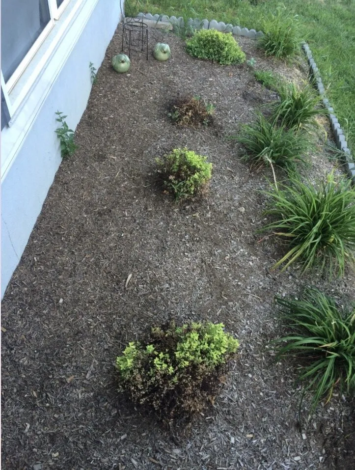 Top-rated residential landscaping near you in Wharton, NJ by Majestic Mowing & Landscaping