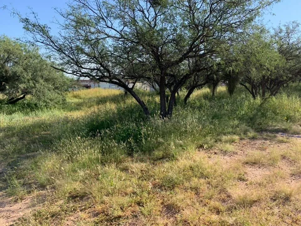 Expert landscaping services in Crystal River, FL - Majestic Outdoor Home Improvement