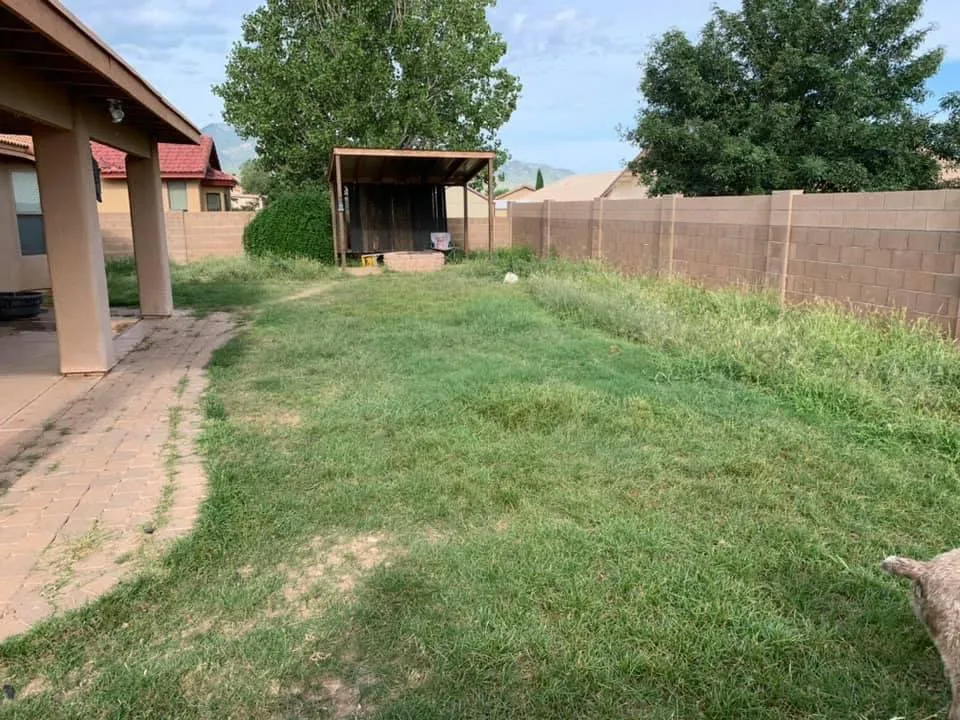 Local residential landscaping in Crystal River, FL by Majestic Outdoor Home Improvement