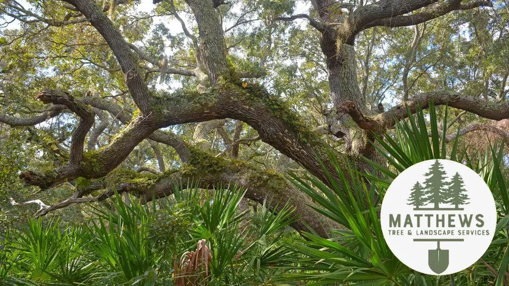 Local garden landscaping for residential properties across Crystal River, FL - Majestic Outdoor Home Improvement