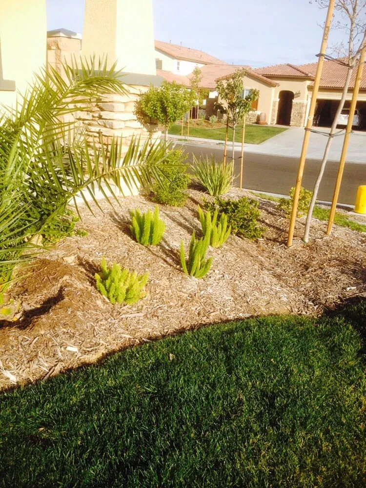 Affordable yard cleanup service for homes in Temecula, CA by Majestic Pool Construction