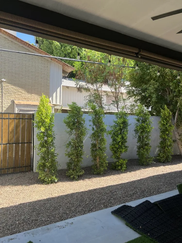 Professional landscape design experts serving Phoenix, AZ - Majestic Scapes