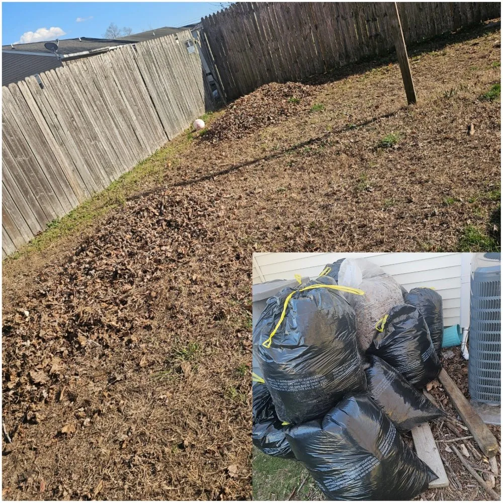 Expert garden landscaping experts serving Salisbury, MD - Majestic Scenes Home Care