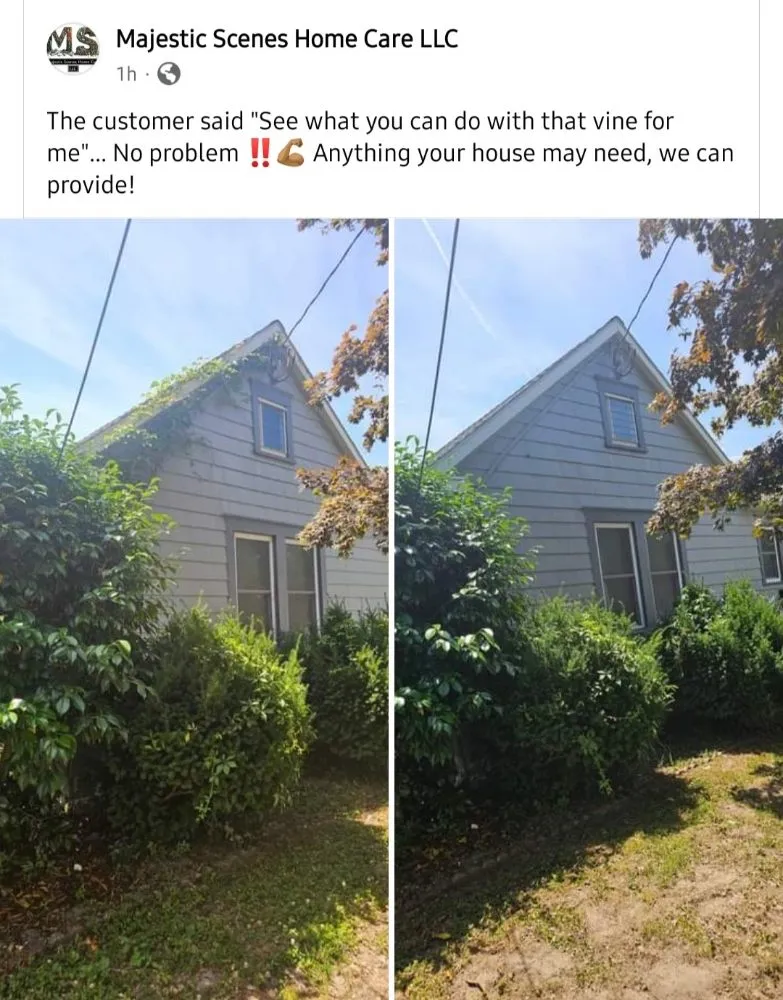 Affordable lawn mowing service for year-round maintenance in Salisbury, MD by Majestic Scenes Home Care