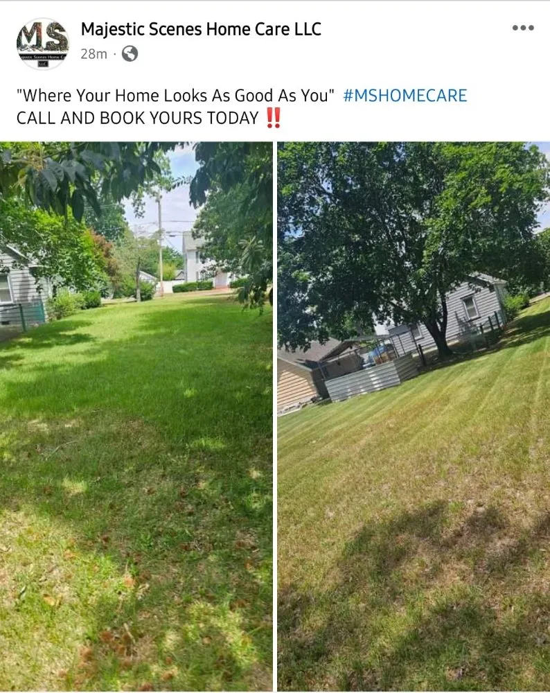 Trusted yard cleanup service for year-round maintenance in Salisbury, MD by Majestic Scenes Home Care