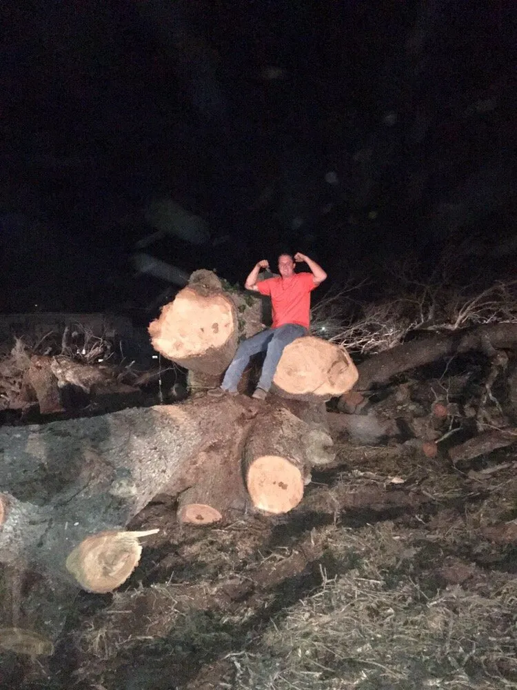 Local garden landscaping for beautiful yards across Orlando, FL - Majestic Tree Service