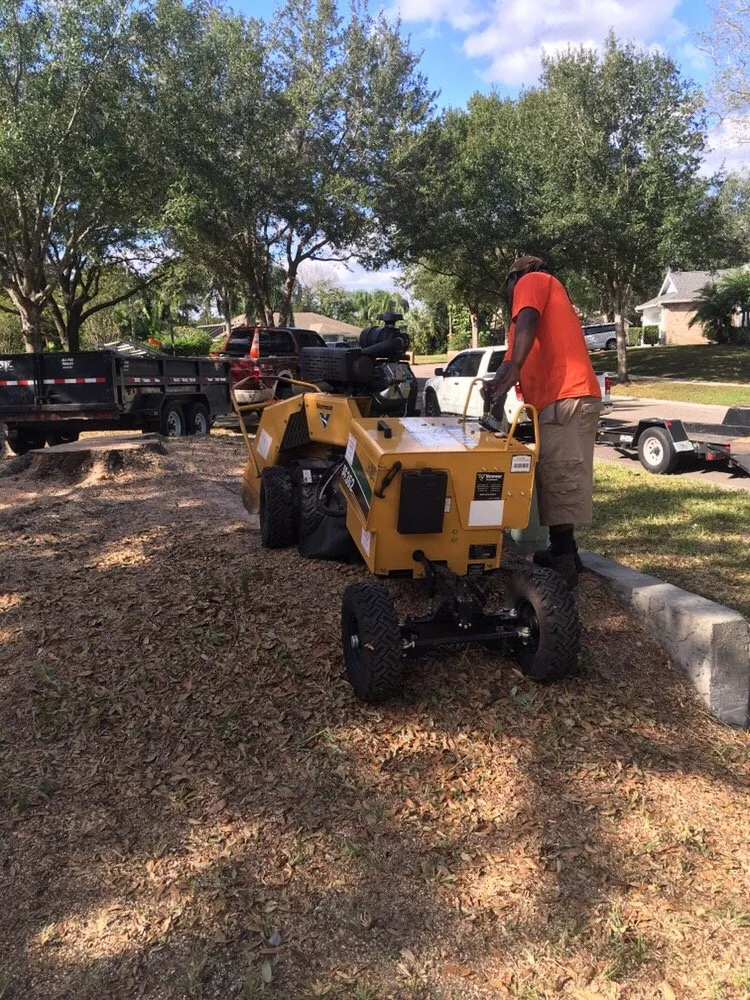 Local outdoor landscaping experts serving Orlando, FL - Majestic Tree Service