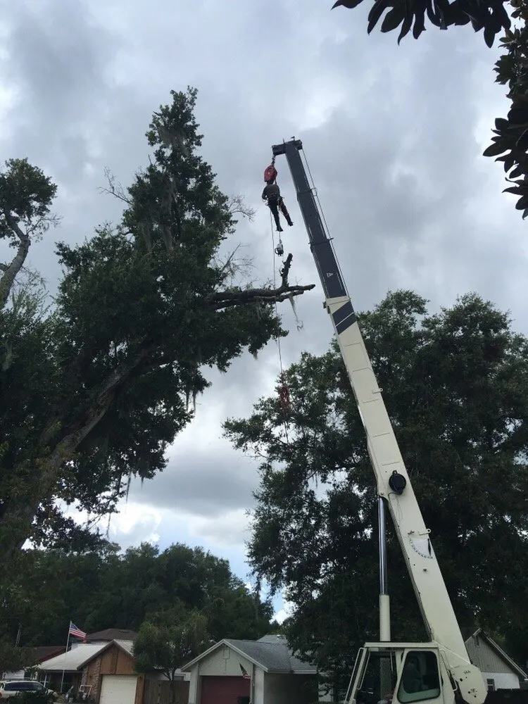 Expert landscaping services in Orlando, FL by Majestic Tree Service