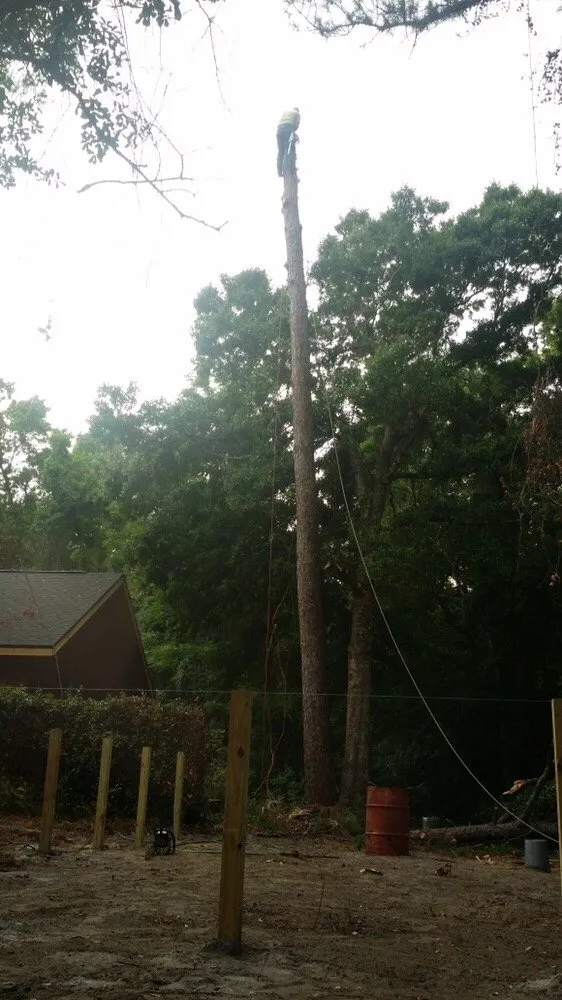 Top-rated outdoor landscaping near you across Orlando, FL - Majestic Tree Service