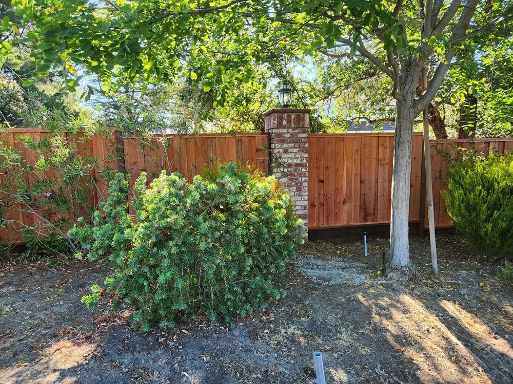 Reliable yard maintenance in Concord, CA - Majic Landscape