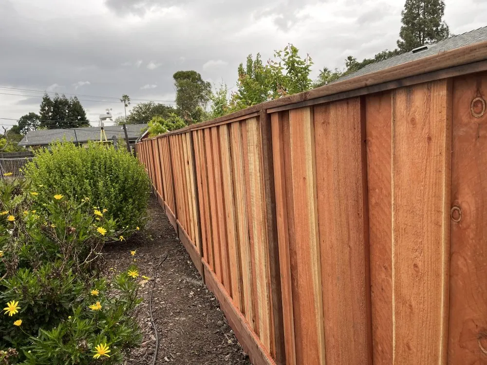 Affordable landscaping services in Concord, CA - Majic Landscape