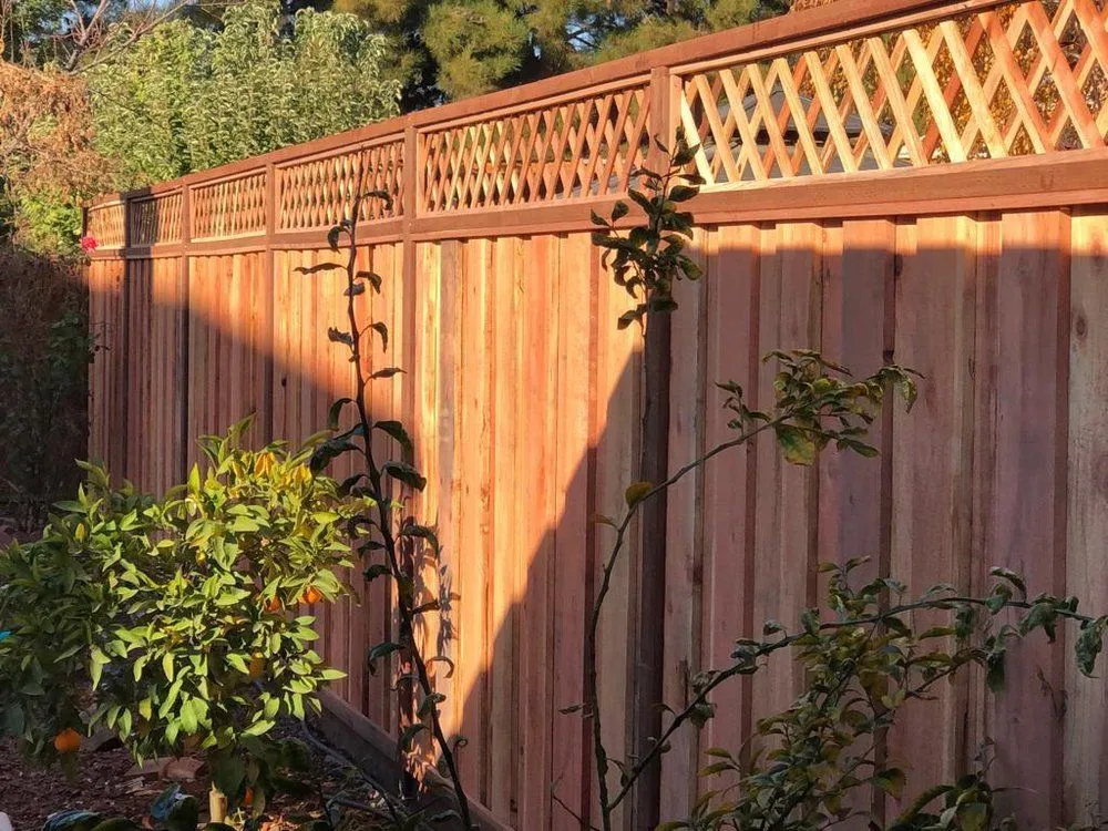 Local lawn mowing service for year-round maintenance in Concord, CA by Majic Landscape