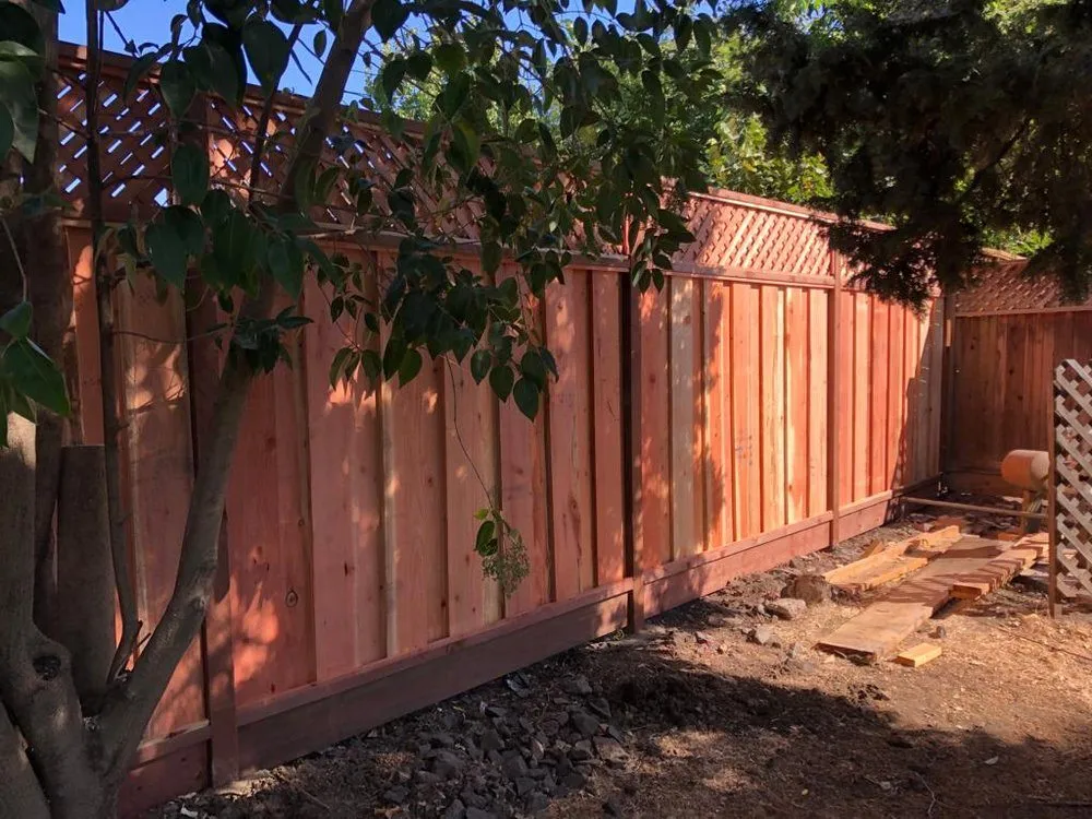 Expert yard cleanup service near you in Concord, CA by Majic Landscape