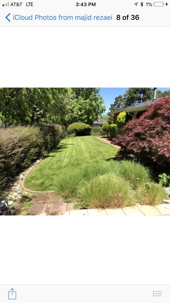 Custom outdoor landscaping in Concord, CA by Majic Landscape