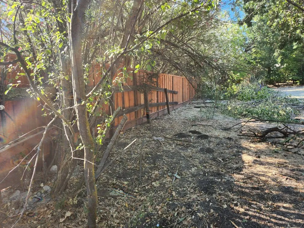 Top-rated yard maintenance in Concord, CA - Majic Landscape